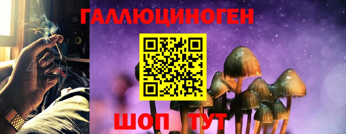 наркошоп  Вход с VPN  Ангарск  Галлюциногенные грибы ЛСД 