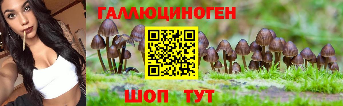 Псилоцибиновые грибы MAGIC MUSHROOMS Ангарск